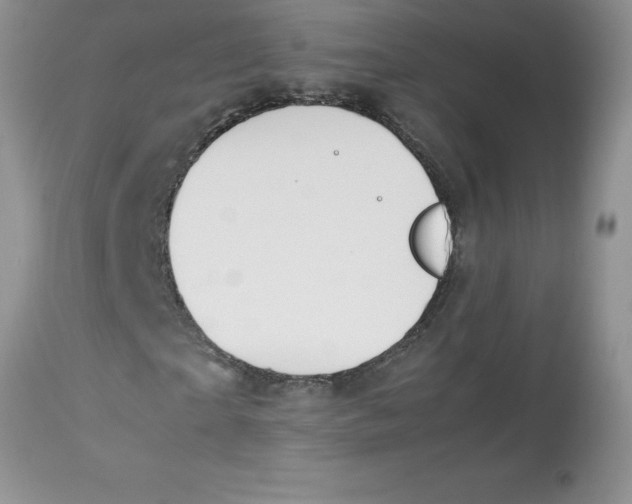 X0000112850865200909181733