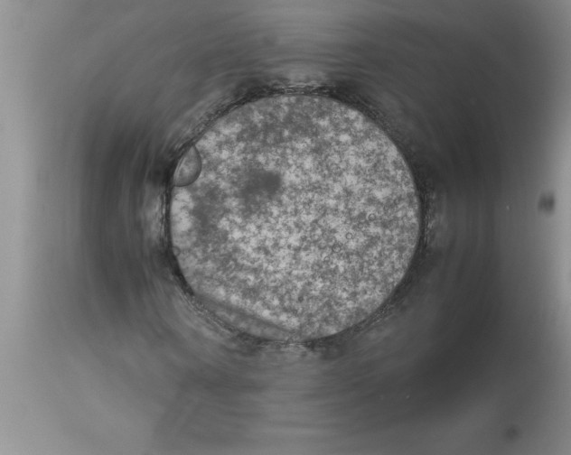 X0000112850866200909181733