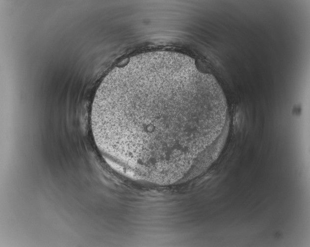 X0000112850868200909181733