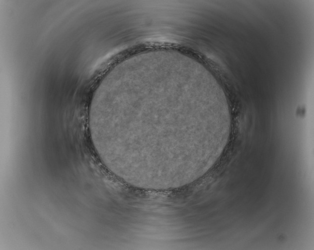 X0000112850870200909181733