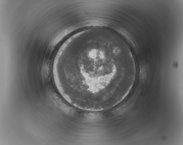 X0000112850874200909181733