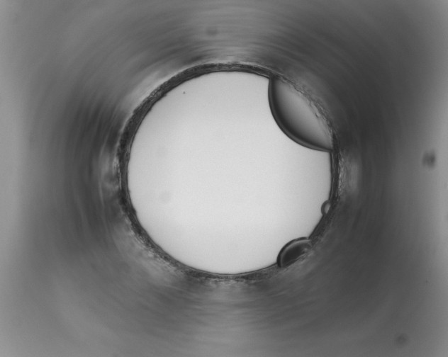 X0000112850876200909181733