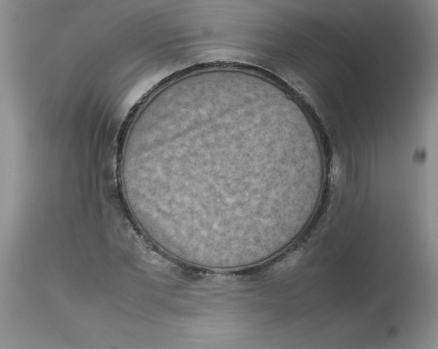 X0000112850877200909181733