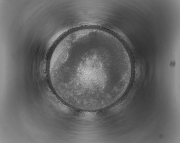 X0000112850878200909181733