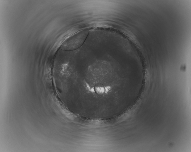 X0000112850881200909181733