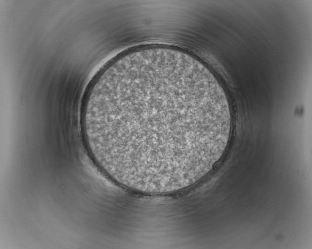 X0000112850884200909181733