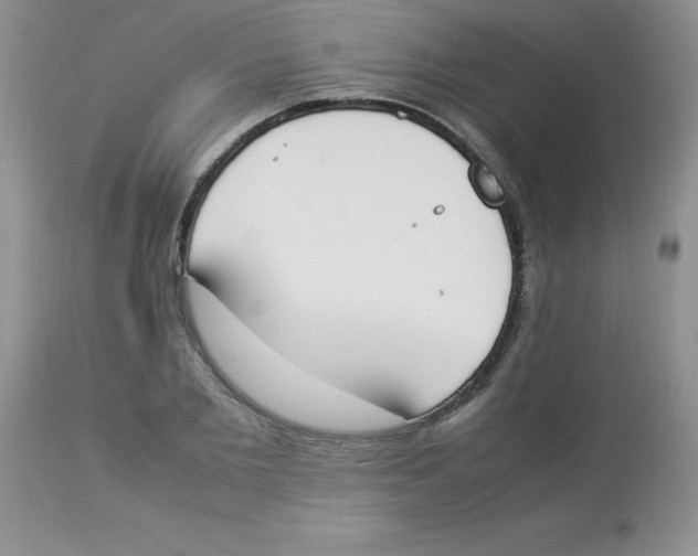 X0000112850885200909181733