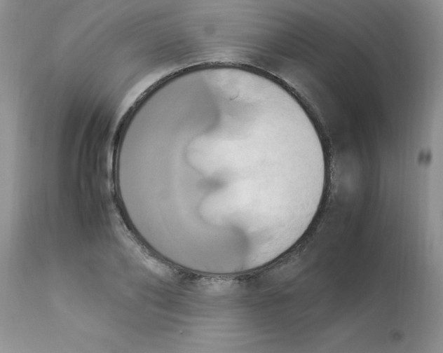 X0000112850886200909181733