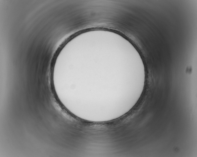 X0000112850888200909181733