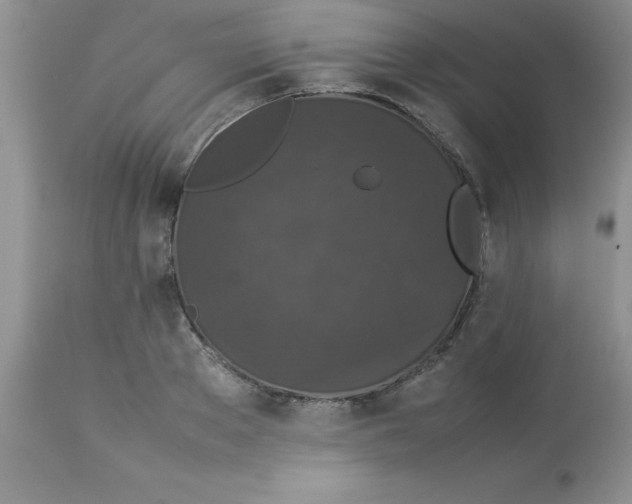 X0000112850889200909181733