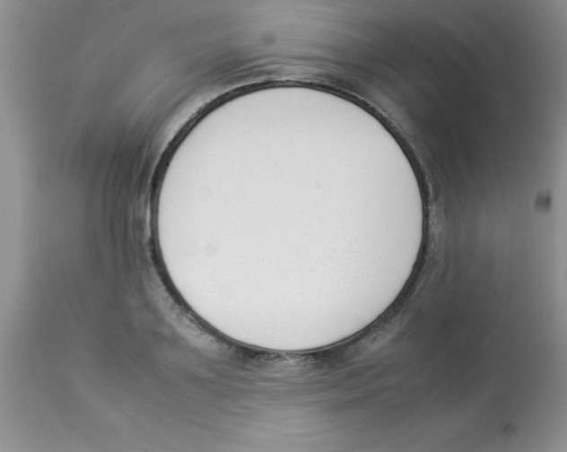 X0000112850891200909181733