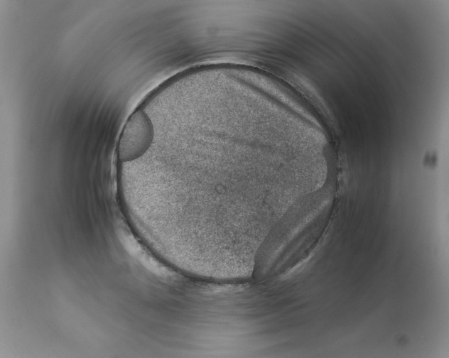 X0000112850892200909181733