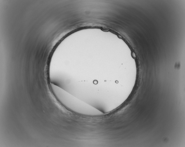 X0000112850893200909181733