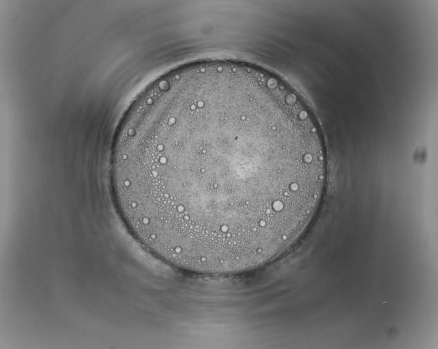 X0000112850895200909181733