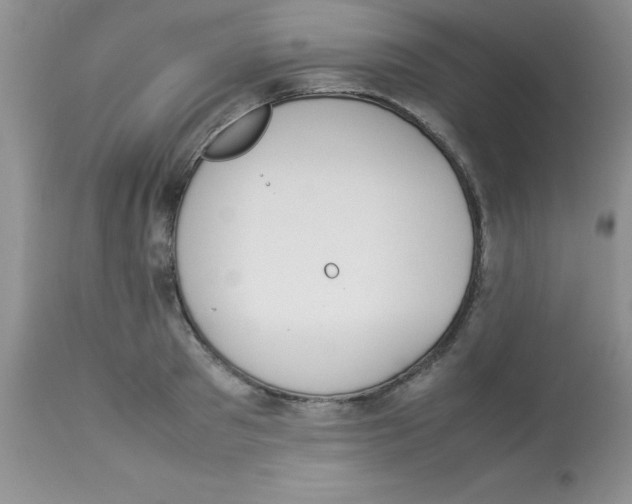 X0000112850897200909181733