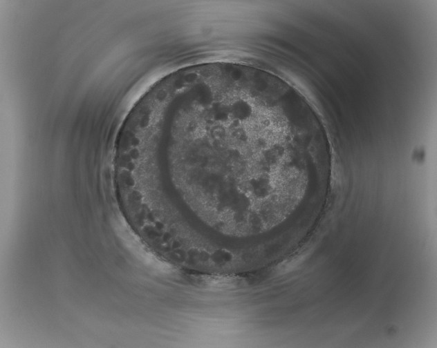 X0000112850899200909181733