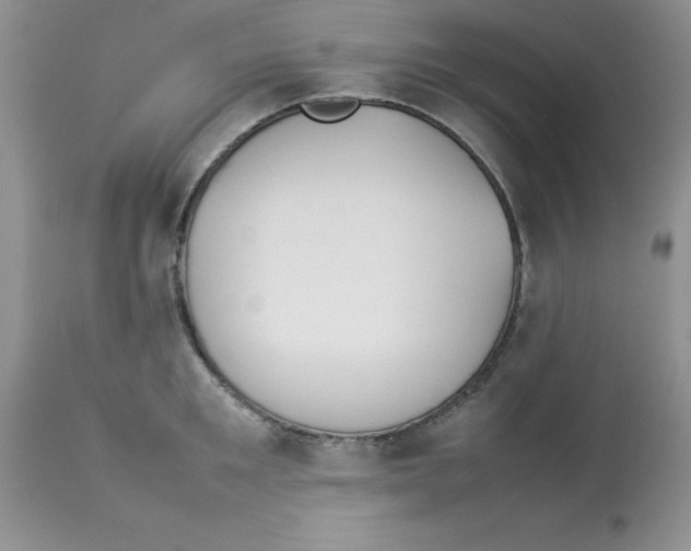 X0000112850901200909181733