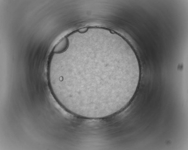 X0000112850902200909181733