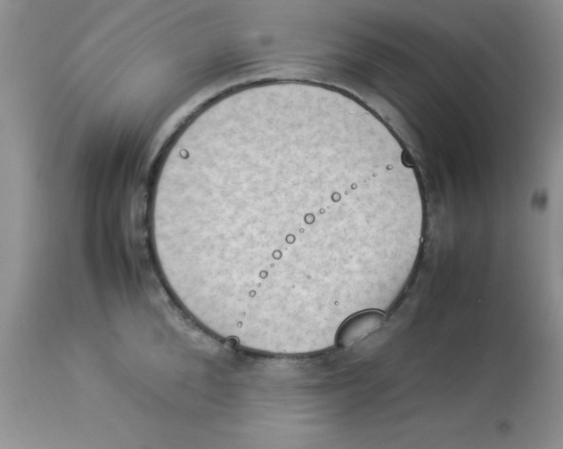 X0000112850904200909181733