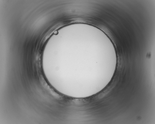 X0000112850906200909181733