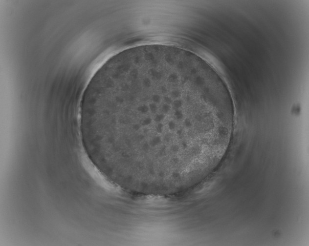 X0000112850907200909181733