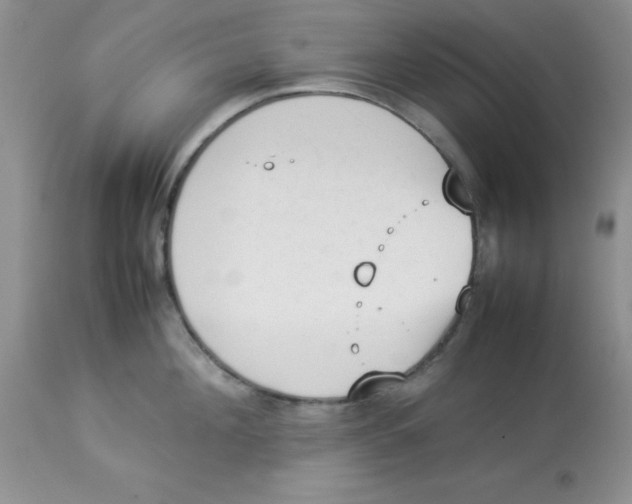 X0000112850908200909181733