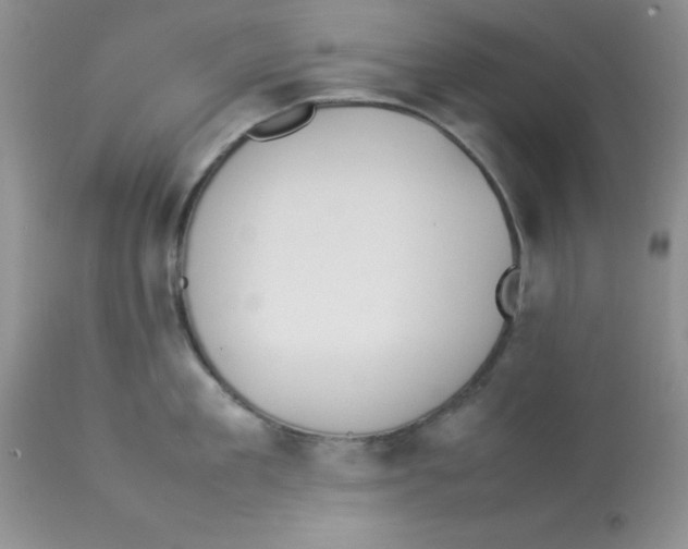 X0000112850909200909181733