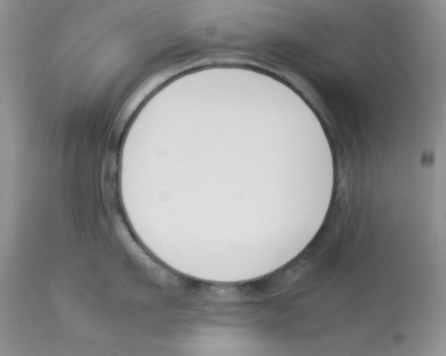 X0000112850911200909181733