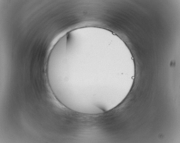 X0000112850912200909181733