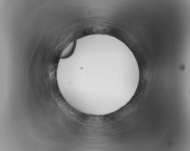 X0000112850914200909181732