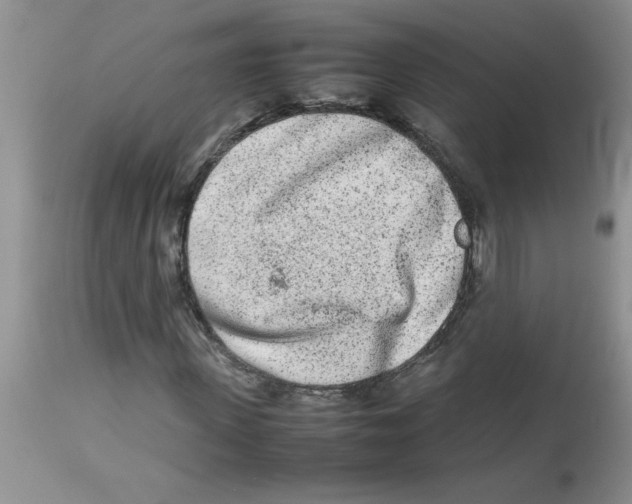 X0000112850915200909181732