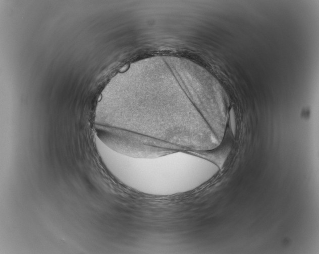 X0000112850916200909181732