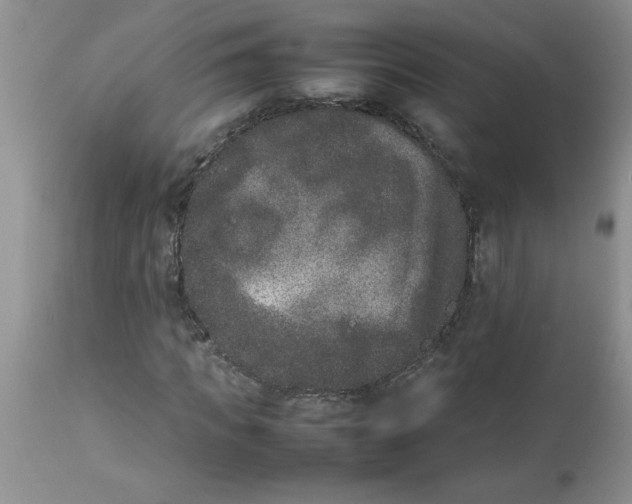 X0000112850917200909181732