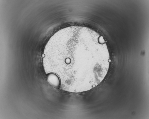 X0000112850918200909181732