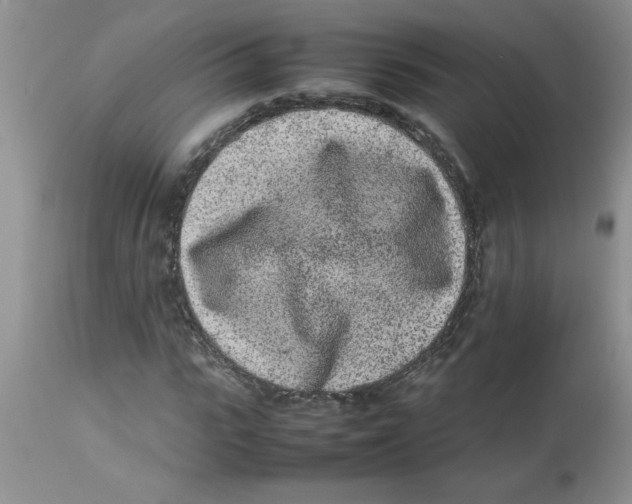 X0000112850919200909181732