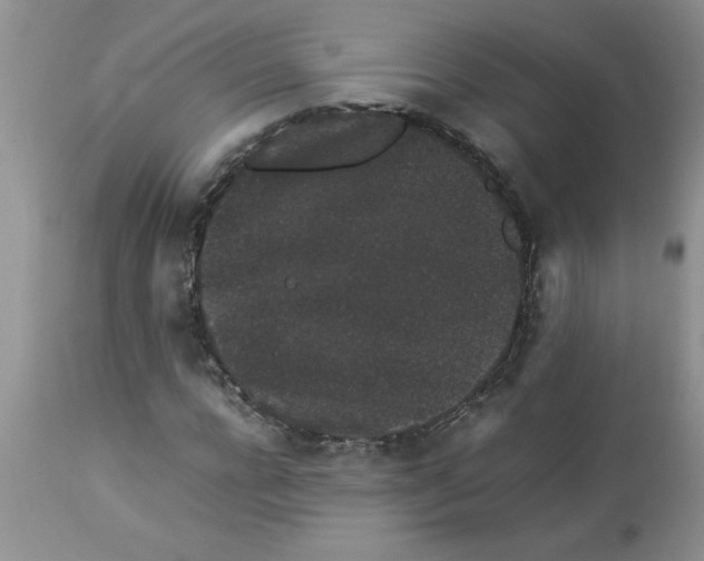 X0000112850920200909181732