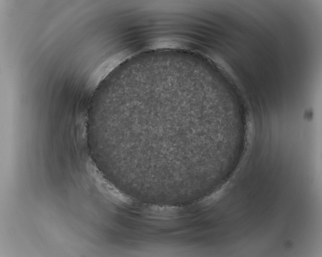 X0000112850921200909181732