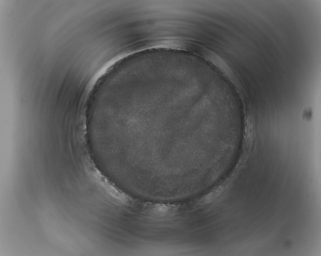 X0000112850923200909181732