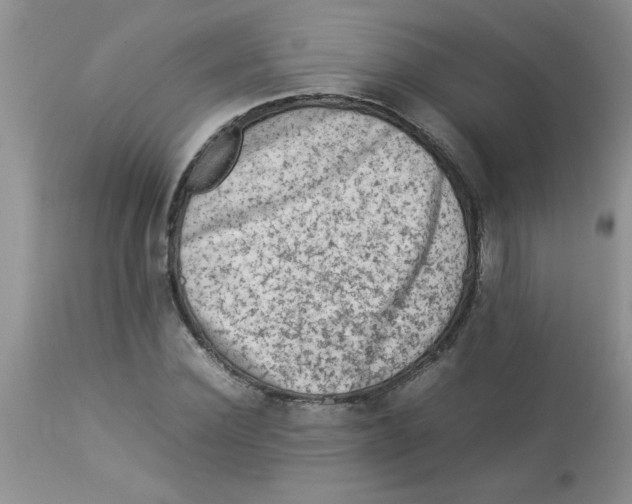 X0000112850924200909181732