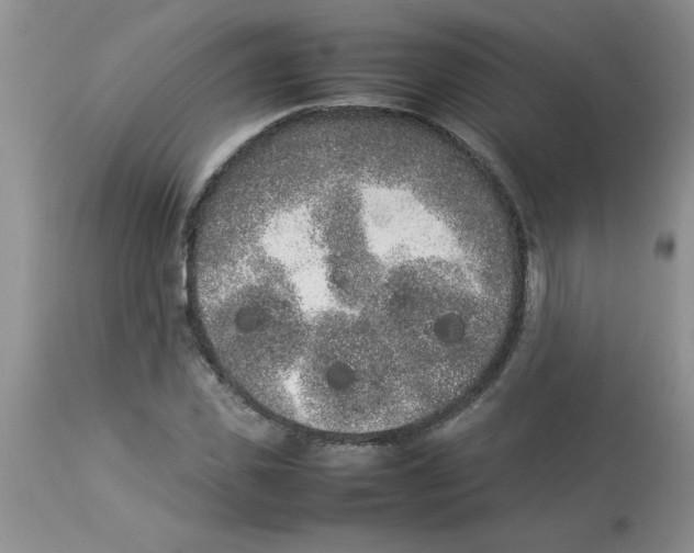 X0000112850925200909181732