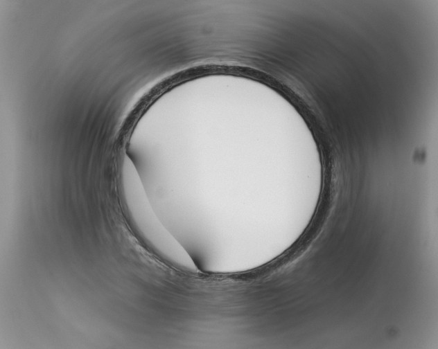 X0000112850926200909181732