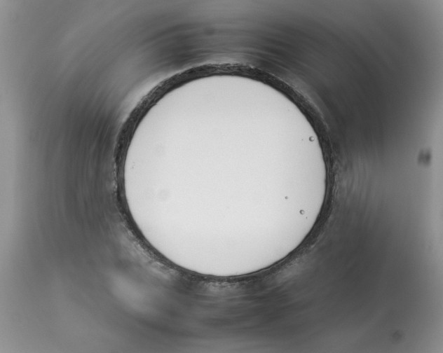 X0000112850927200909181732