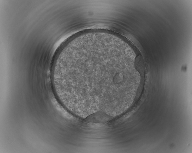 X0000112850928200909181732