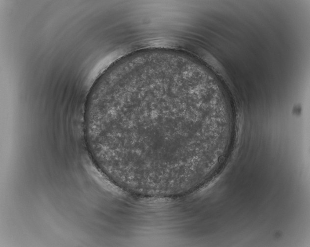 X0000112850930200909181732