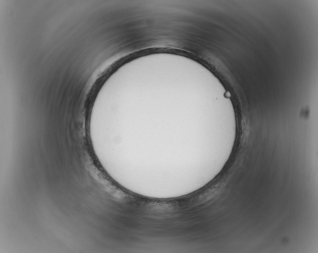 X0000112850931200909181732