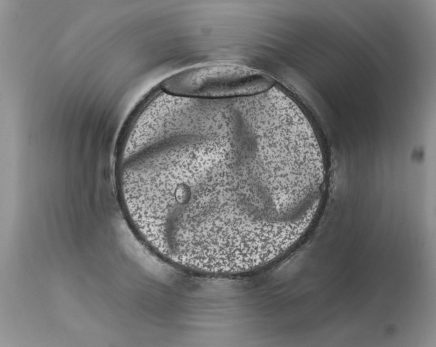 X0000112850932200909181732