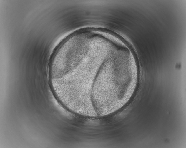 X0000112850935200909181732