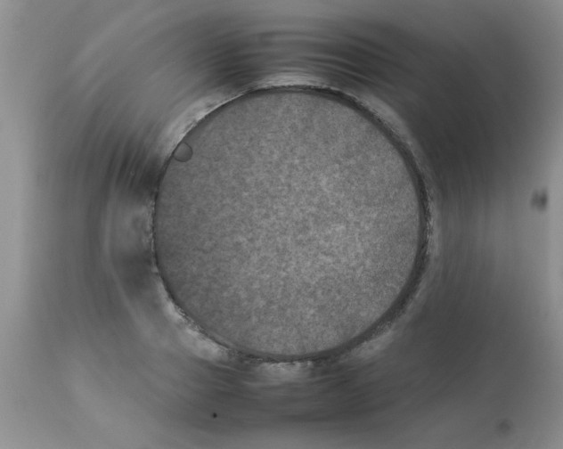 X0000112850937200909181732