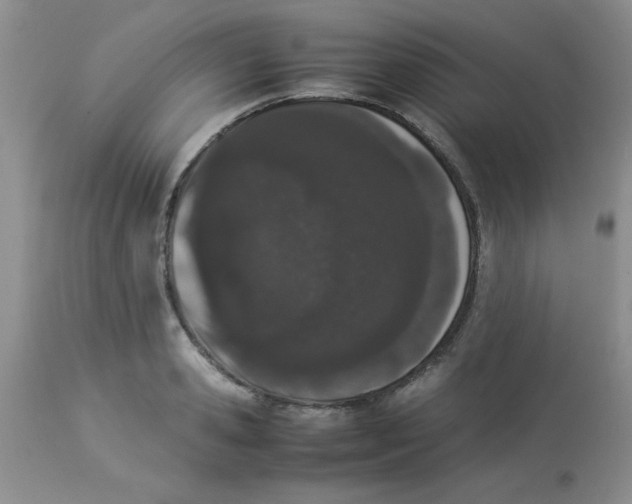 X0000112850941200909181732