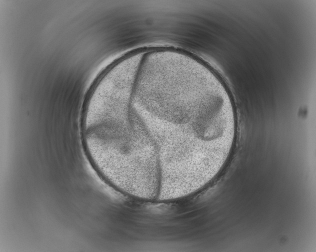 X0000112850943200909181732